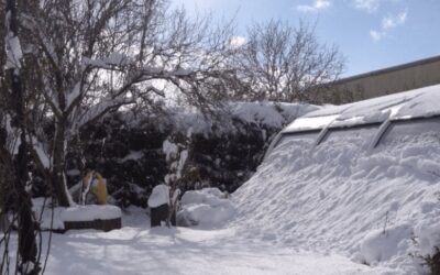 Disfruta de tu piscina hasta cuando esté nevada