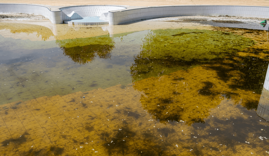 Una piscina graned con el agua verde y llena de algas que podría limpiarse con los remedios caseros para el agua verde de la piscina de nuestro artículo.